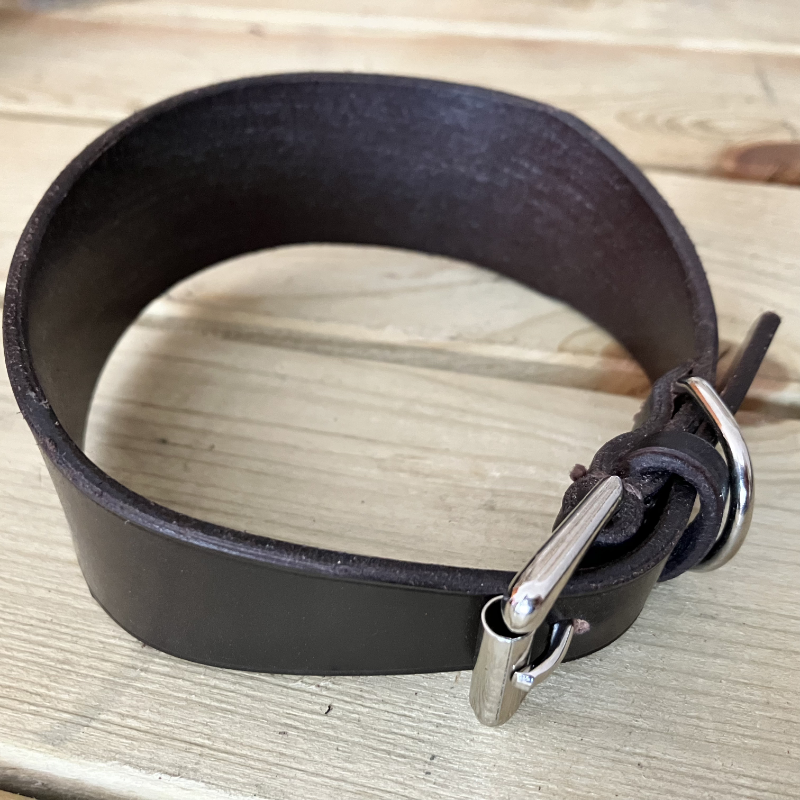 Dark Havana Greyhound collar.
